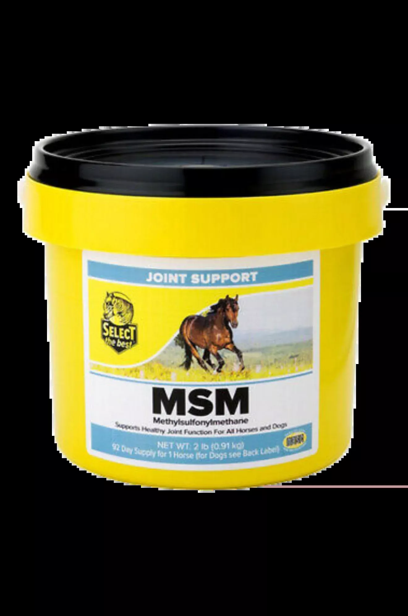Select MSM