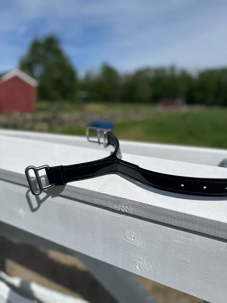 Shaft Loop Quick Release - Draft