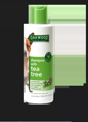 Shampoo with Tea Tree Oil