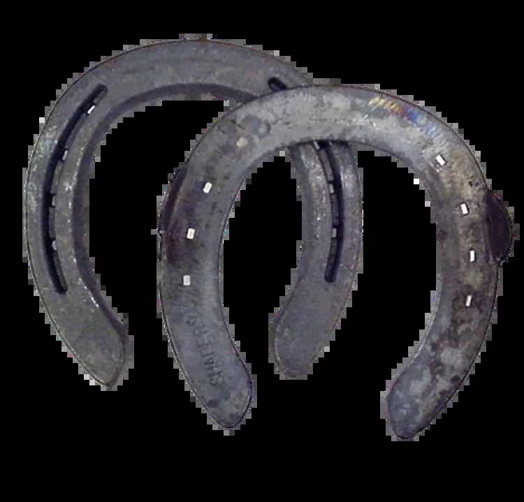 SHAPER SHOES- W/ CLIPS