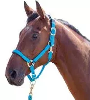 Shires Arma "Topaz" Comfort Nylon Halter