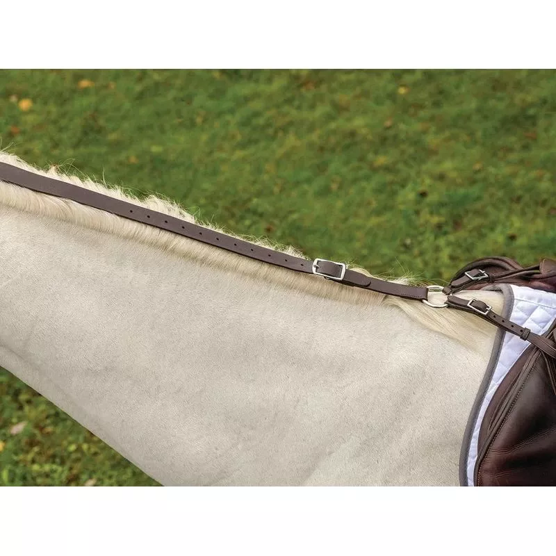 Shires Avignon Daisy Rein – Havana