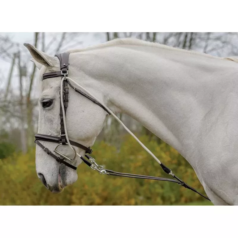 Shires Avignon De Gogue Trainng Aid – Black