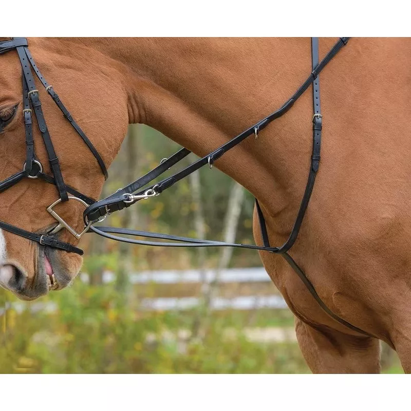 Shires Avignon German Martingale – Black