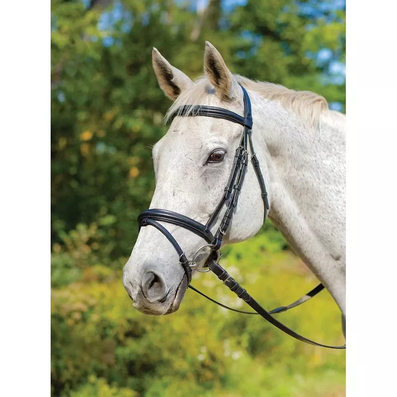 Shires Avignon Louisville Bridle – Black