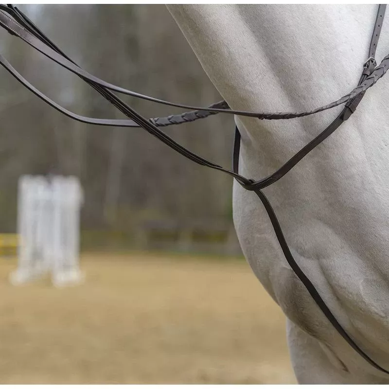 Shires Avignon Standing Martingale – Havana