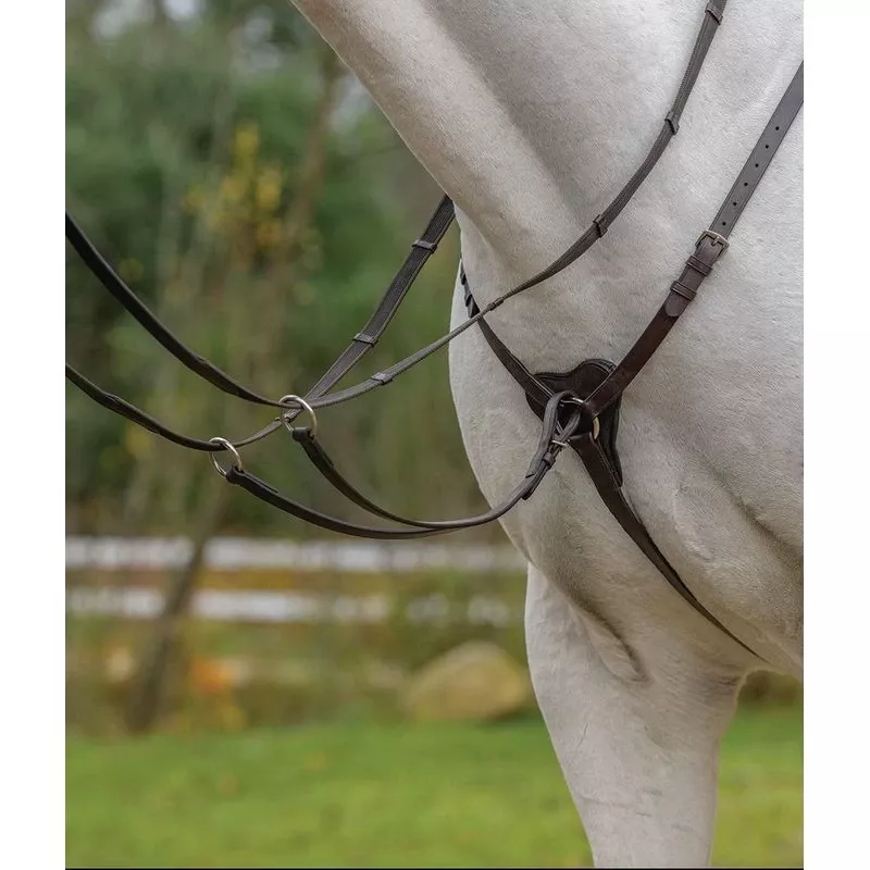 Shires Avignon Three Point Breastplate – Black