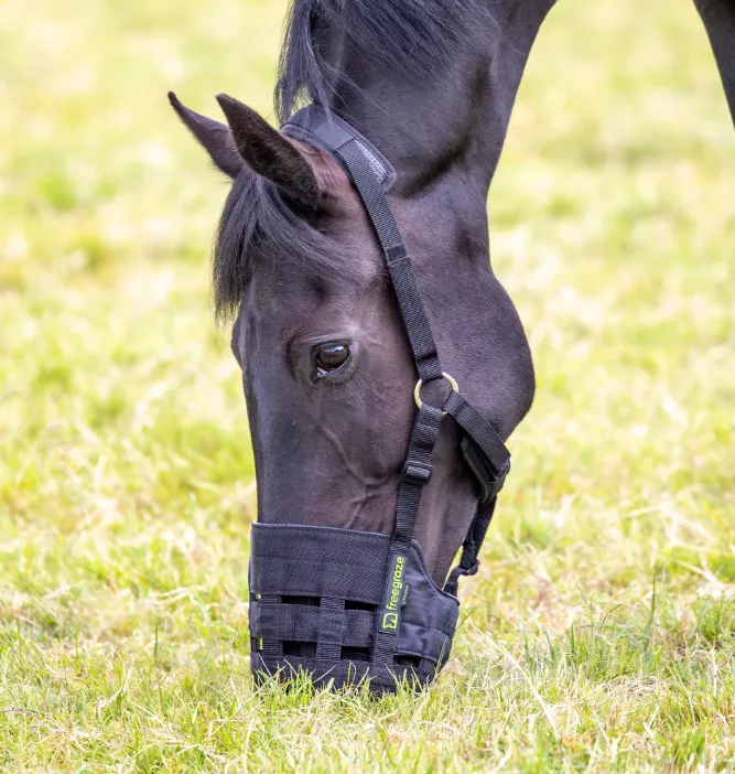 Shires - FreeGraze Comfort Grazing Muzzle - Pony