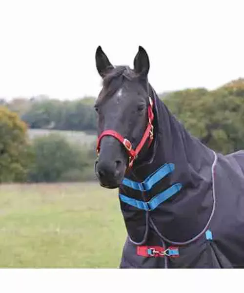 Shires Highlander Plus 200 Neck Cover