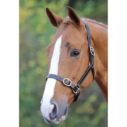 Shires Leather Strap Halter