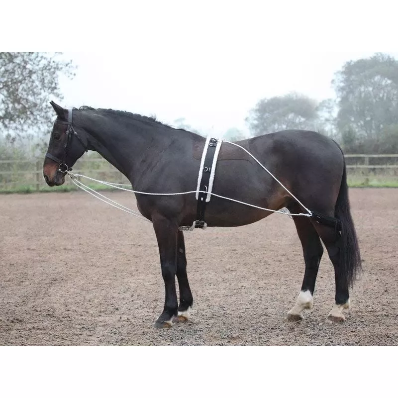 Shires Lunging Aid – Black