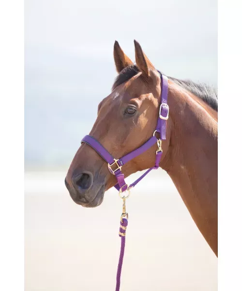 Shires Nylon Breakaway Halter