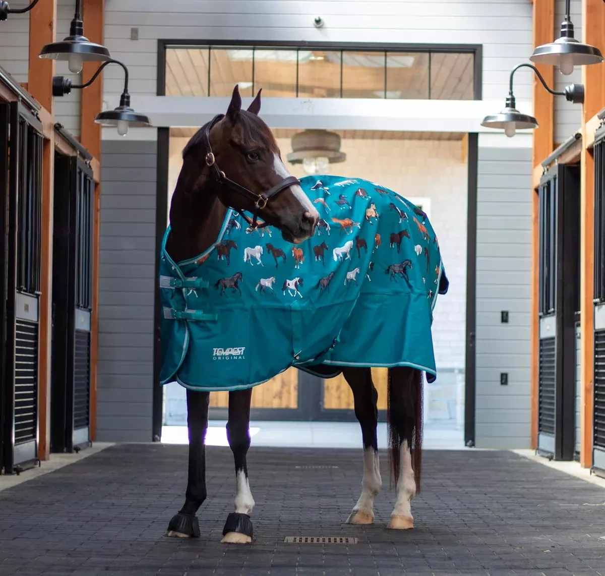 Shires Tempest Lite Turnout Blanket - Green Horse Print
