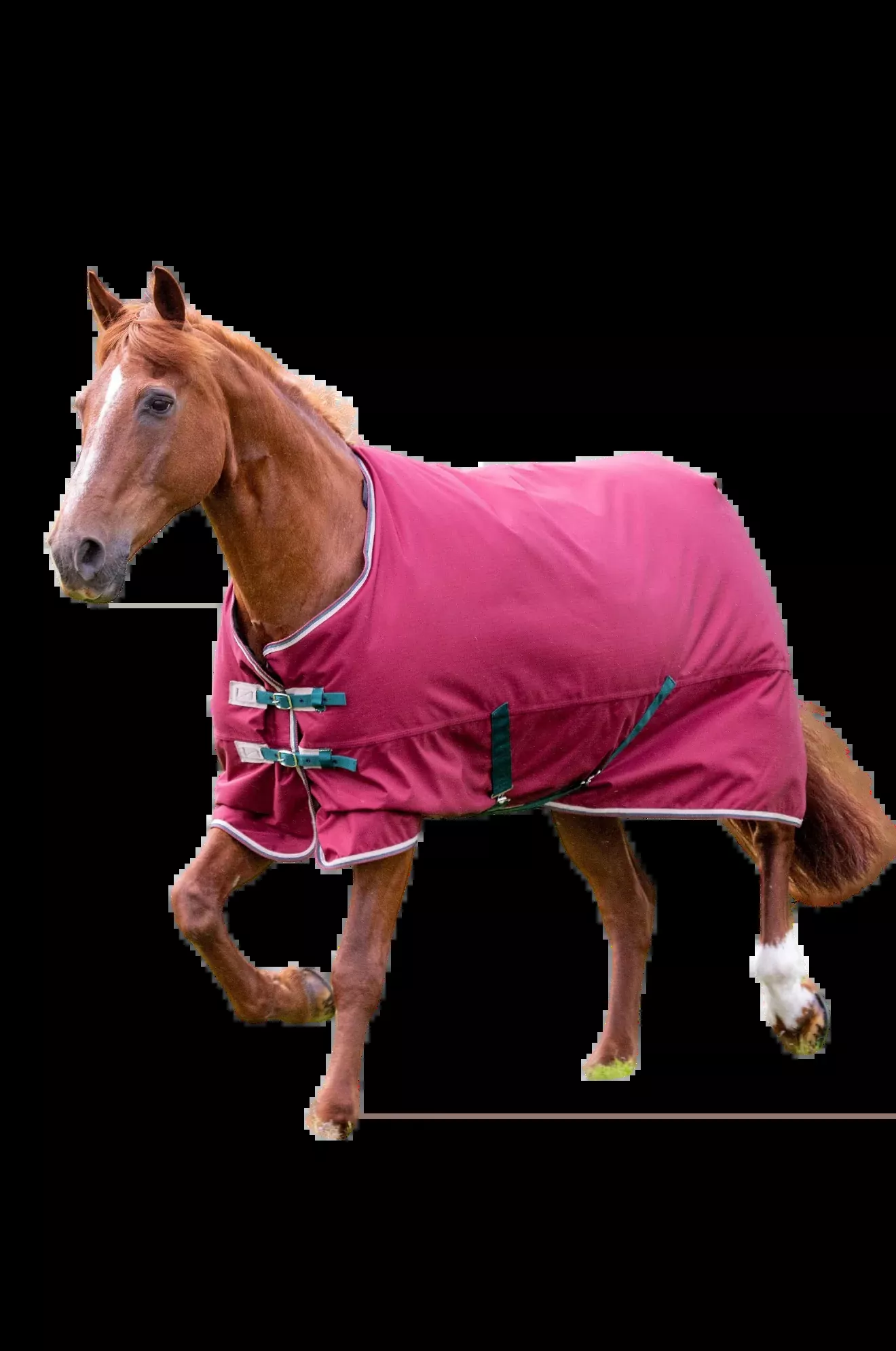 Shires Tempest Original200 Turnout Blanket