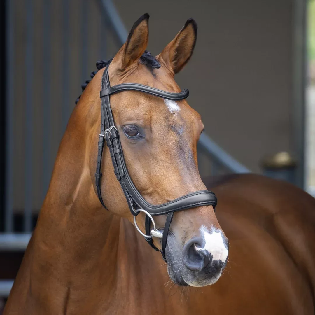 Shires Velociti Lusso Ergonomic Curved Flash Bridle