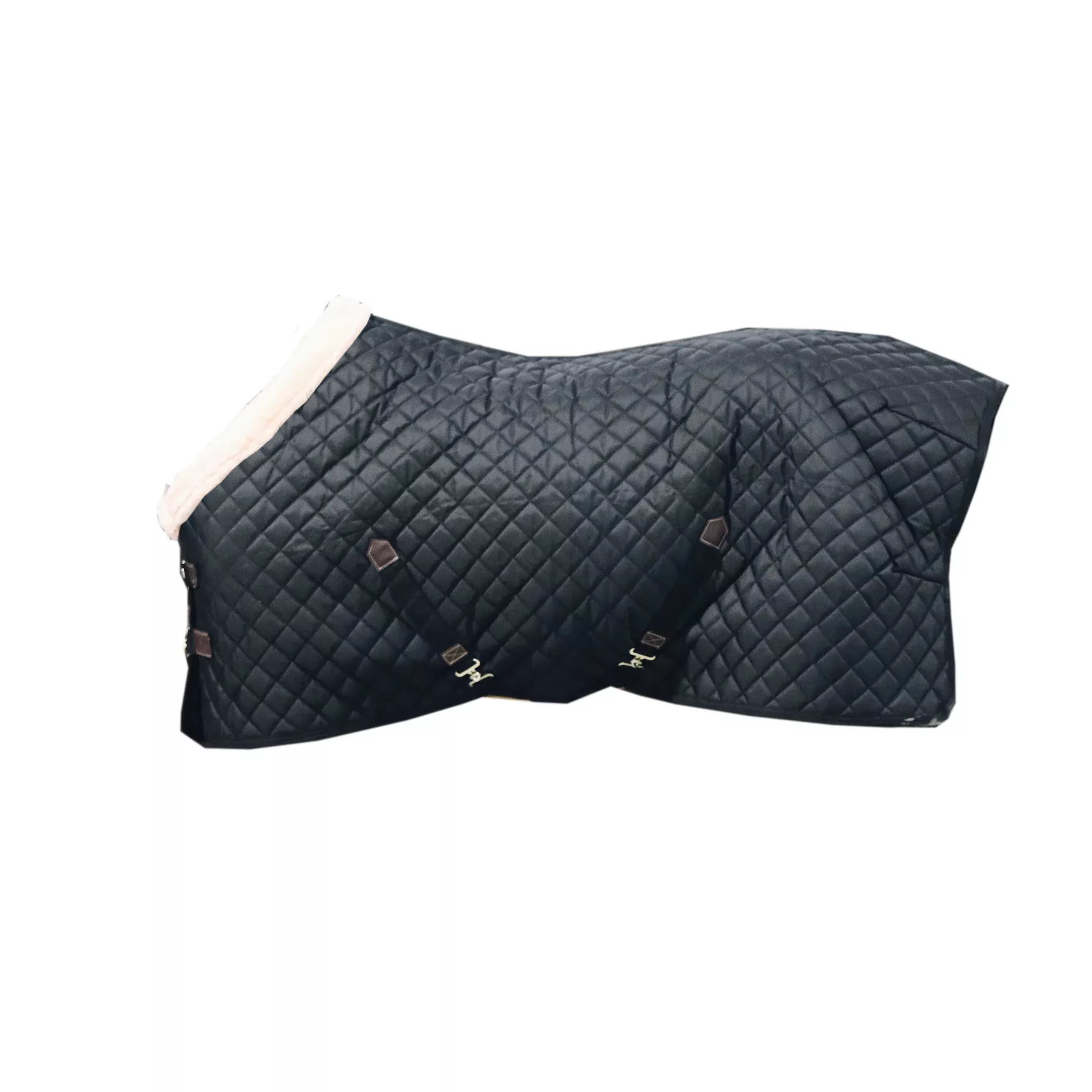 Show Rug Black