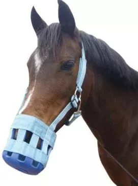 Showcraft Grazing Muzzle