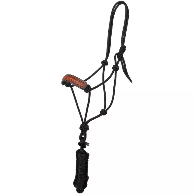 Showman Mesa Stamp Cowboy Knot Halter with Lead