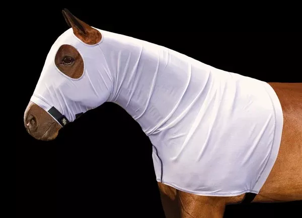 Sleazy Sleepwear Power Net Hood w / Zip