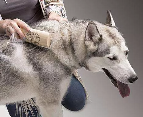 SleekEZ - Brush for Shedding and Grooming - Medium (5“)