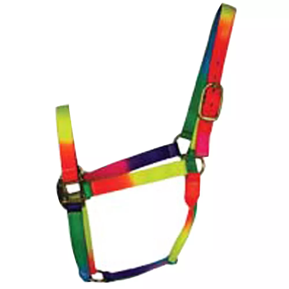 Small Hilason Horse Tack Rainbow 3Ply Adjustable Nylon Halter