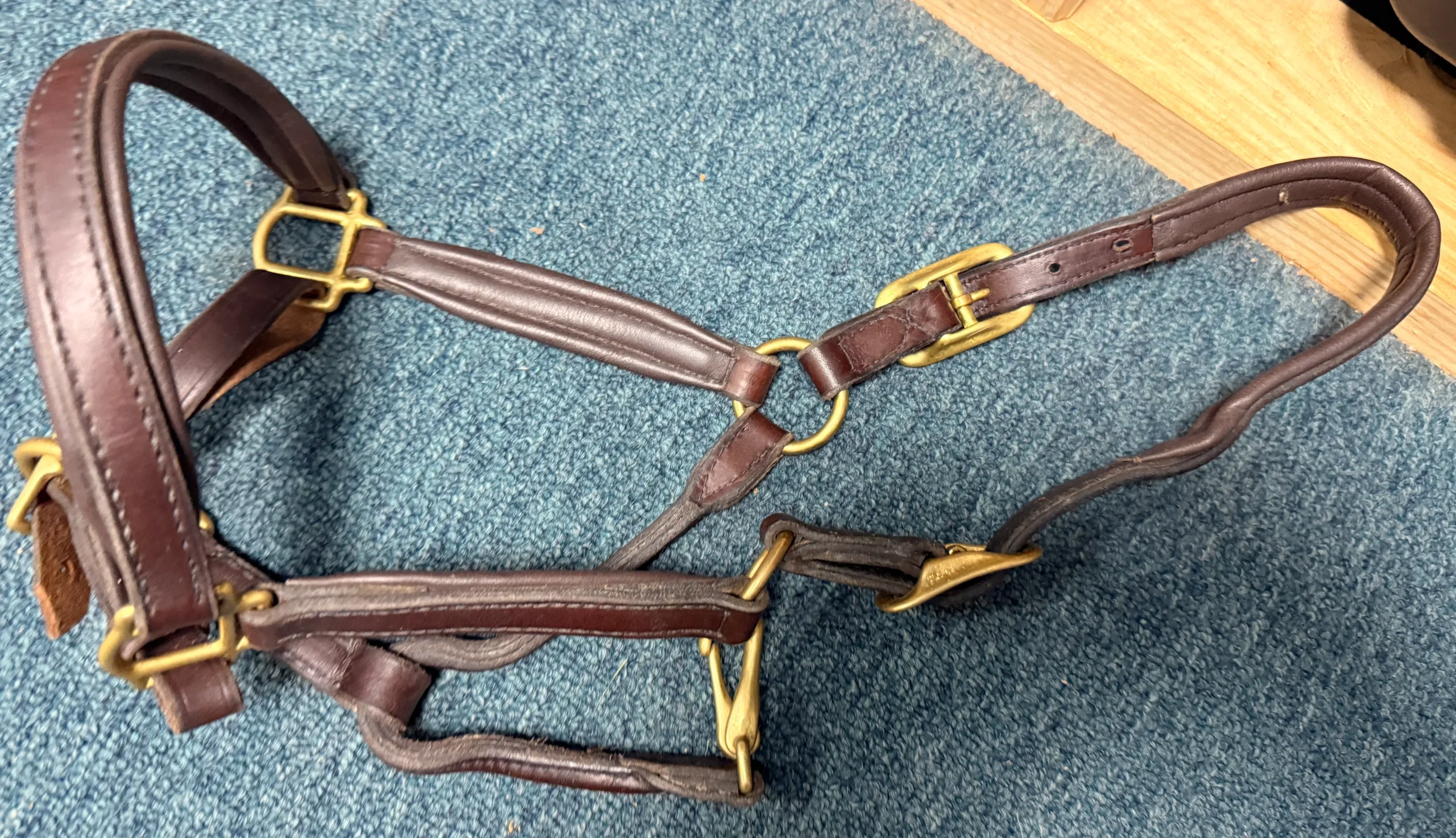 Small Pony Leather halters with brass clips and hardware