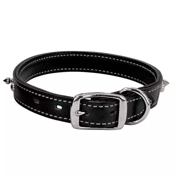 Spike Collar, Black