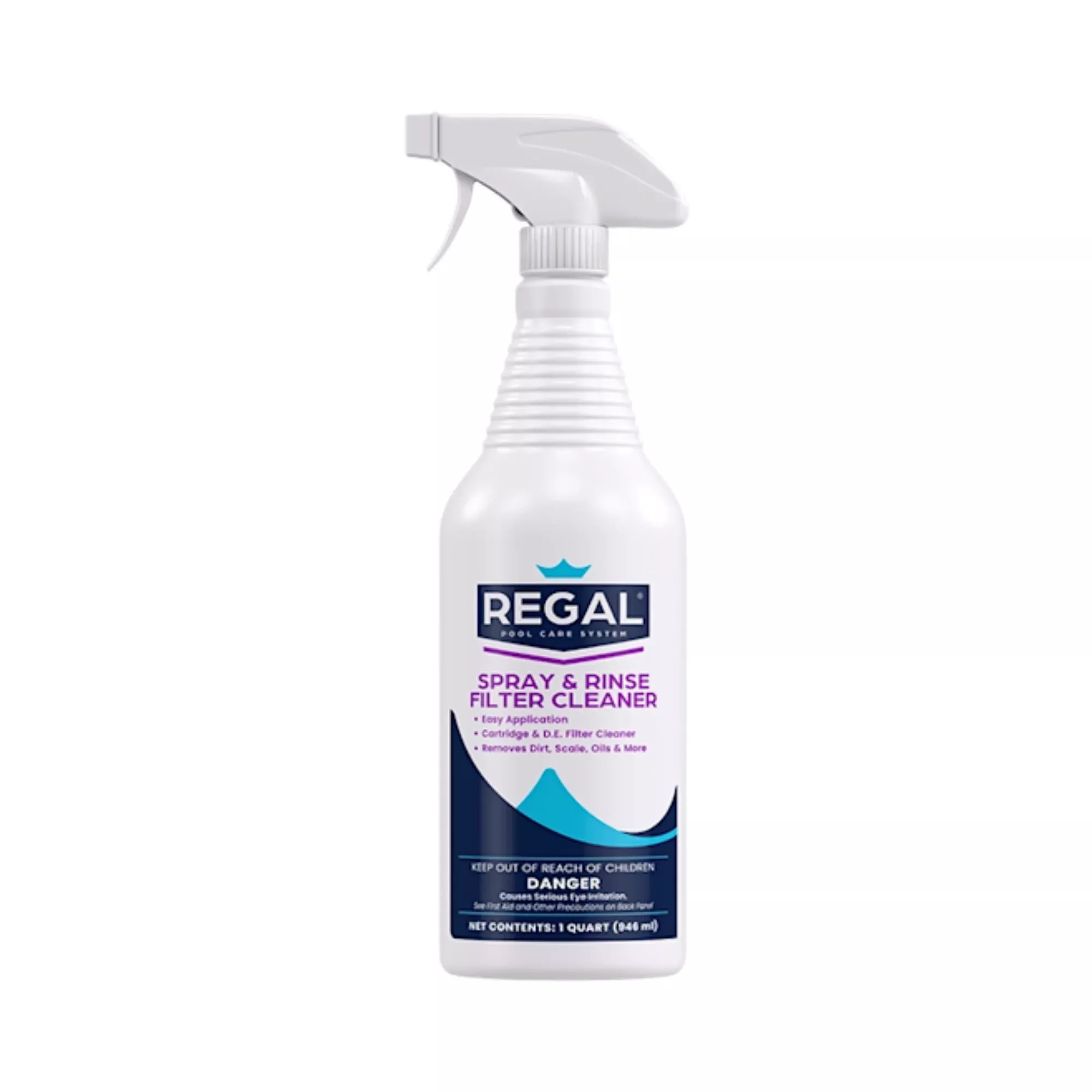 Spray and Rinse Filter Cleaner