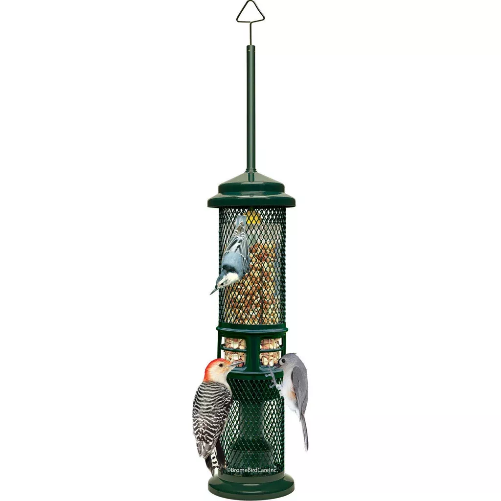 Squirrel Buster Nut Wild Bird Feeder 1.3 lb Capacity Green
