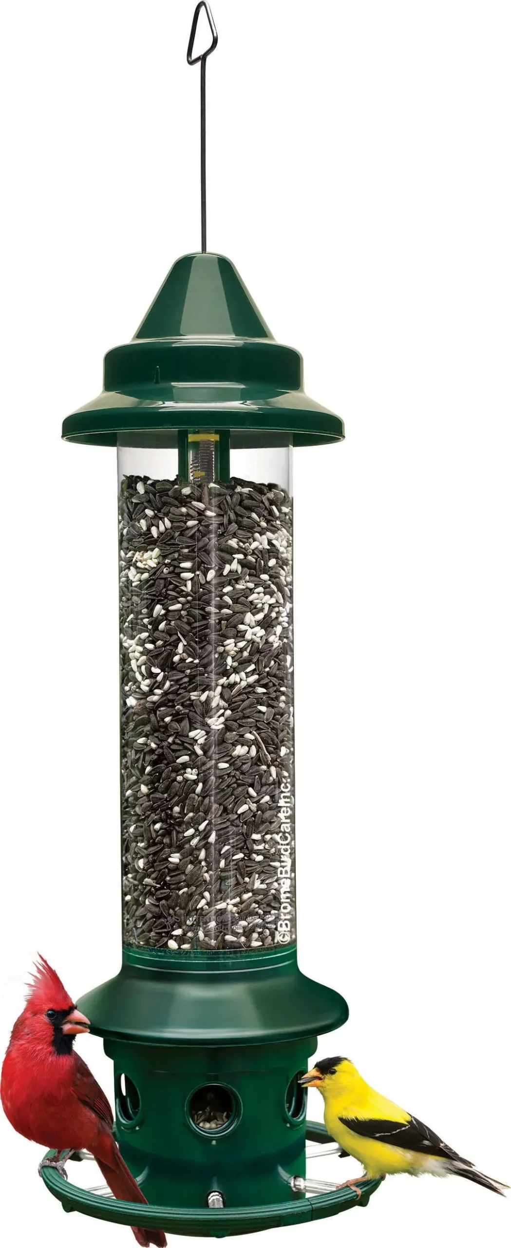 Squirrel Buster Plus Wild Bird Feeder 5.1 LB Cap Green