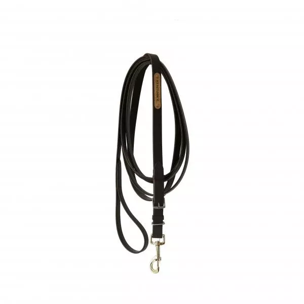 Stallion Lead