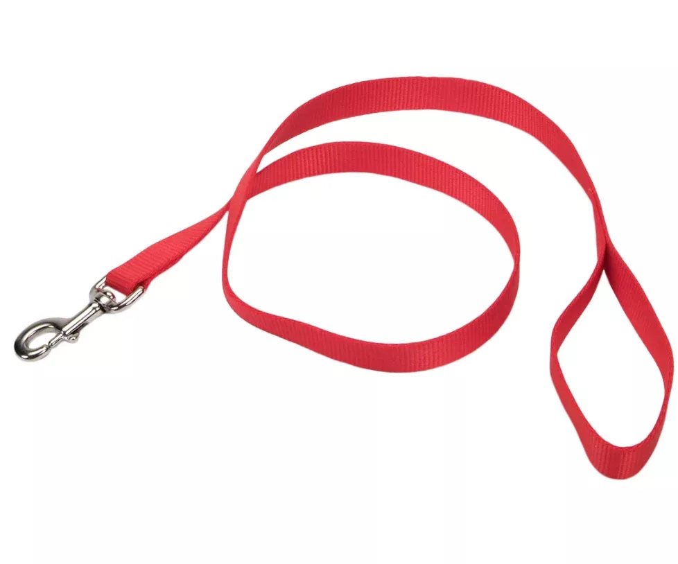 Standard Nylon Leash