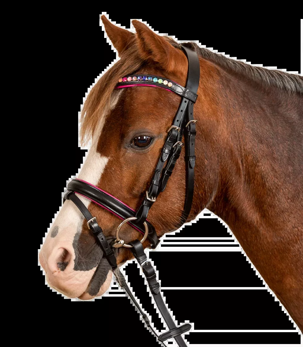 Star Bridle Pinky