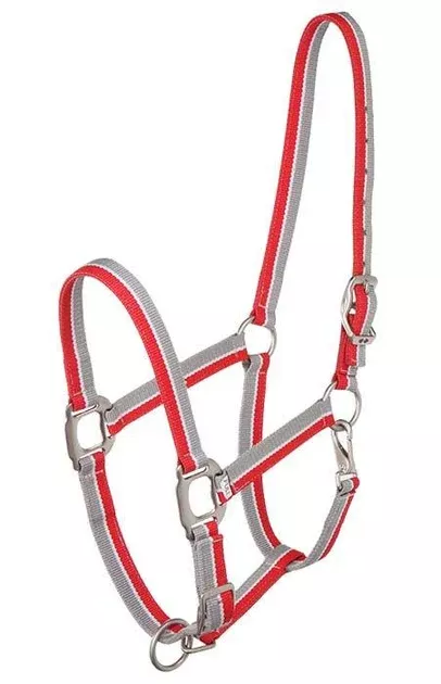 Striped Headcollar