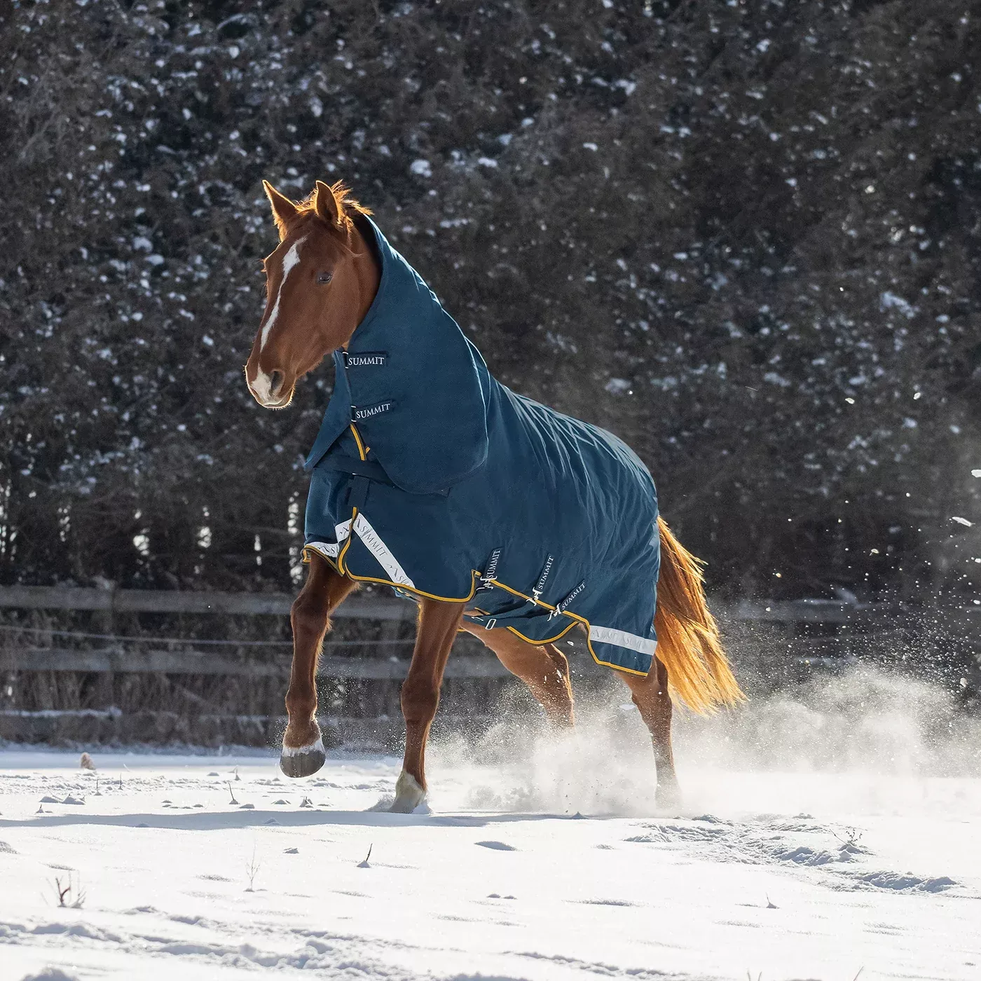 Summit Nova Turnout Blanket 250 g W/ 150 g Hood