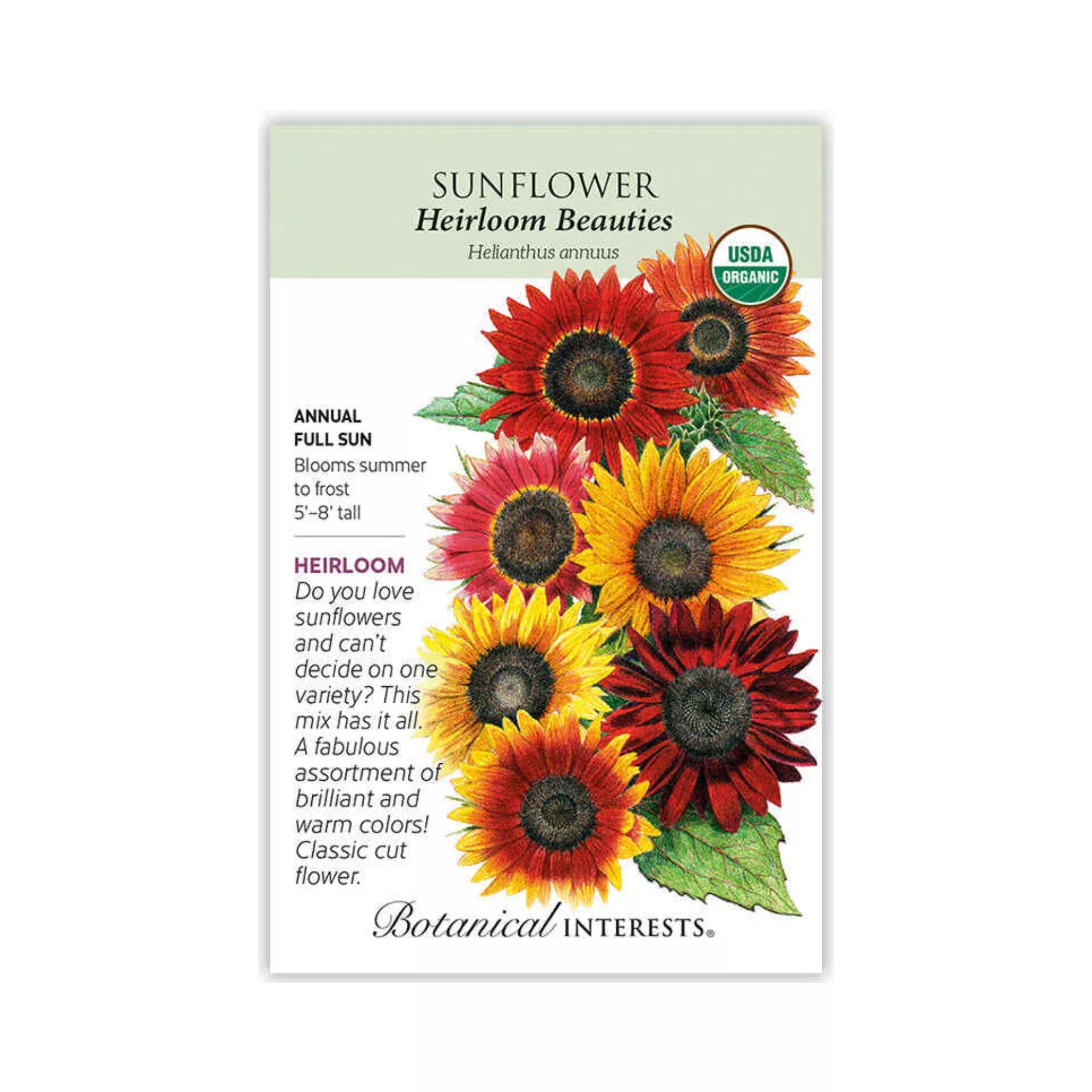 Sunflower Heirloom Beauties Organic