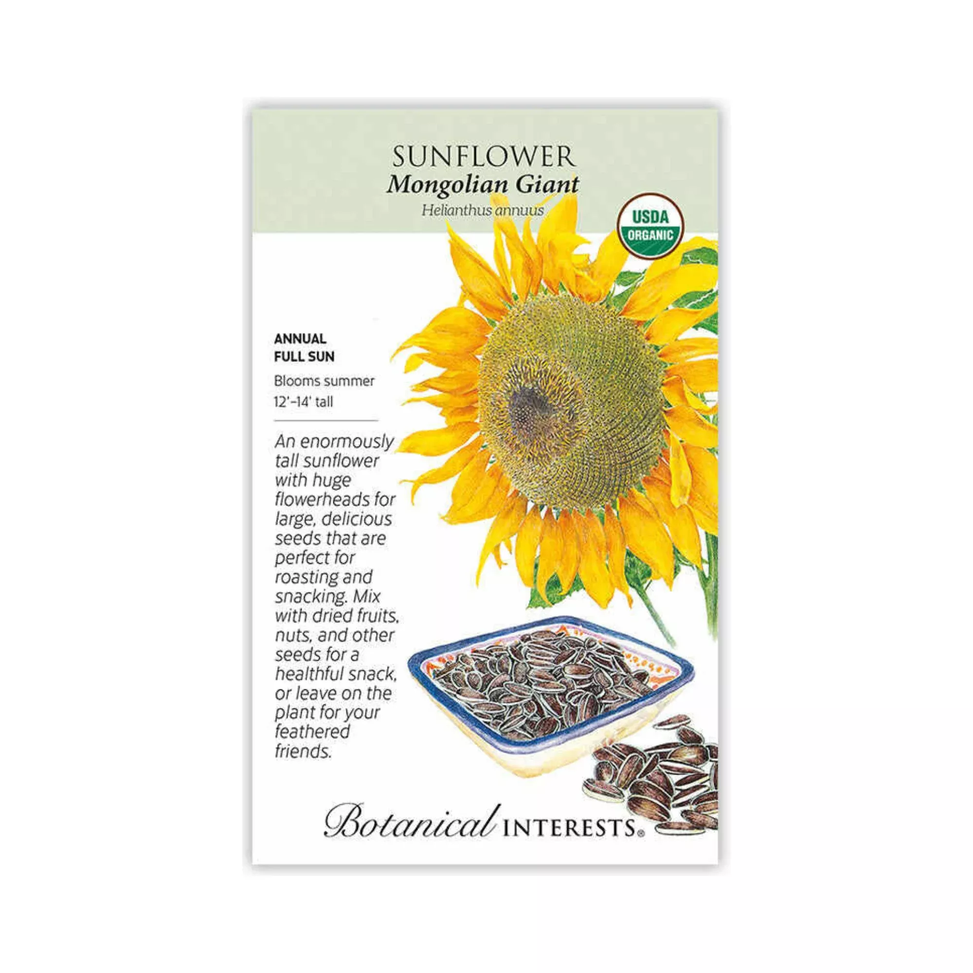 Sunflower Mongolian Giant Organic