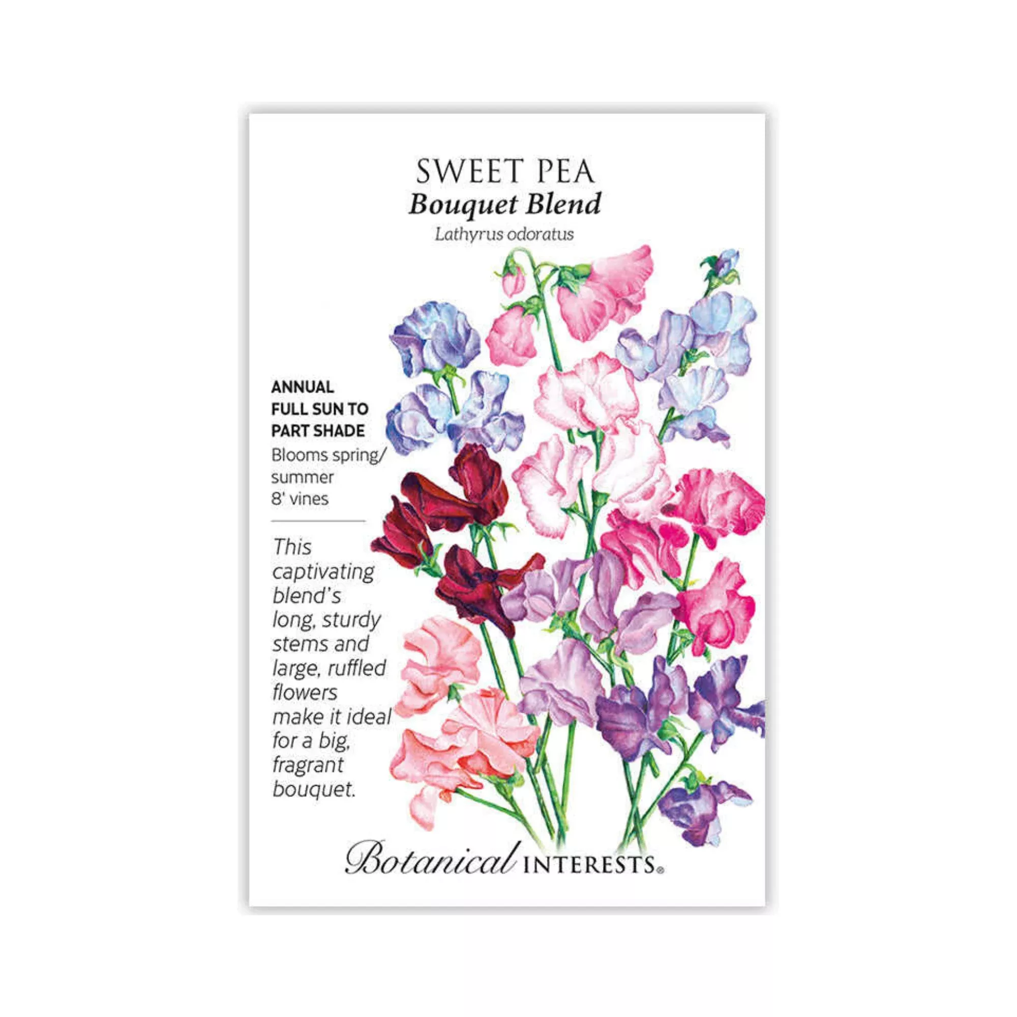 Sweet Pea Bouquet Blend