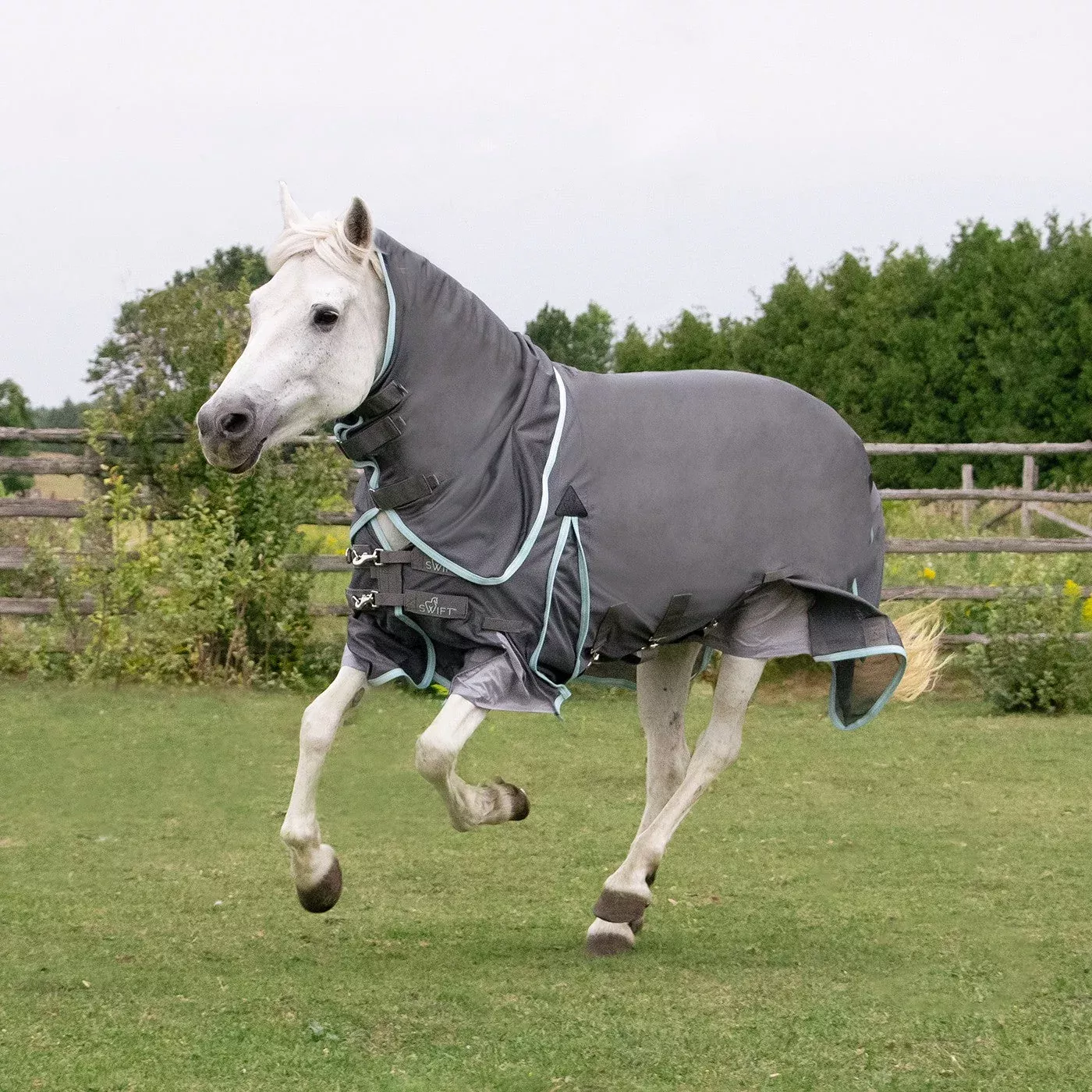 Swift Pony Fly Sheet W/ Detachable Hood