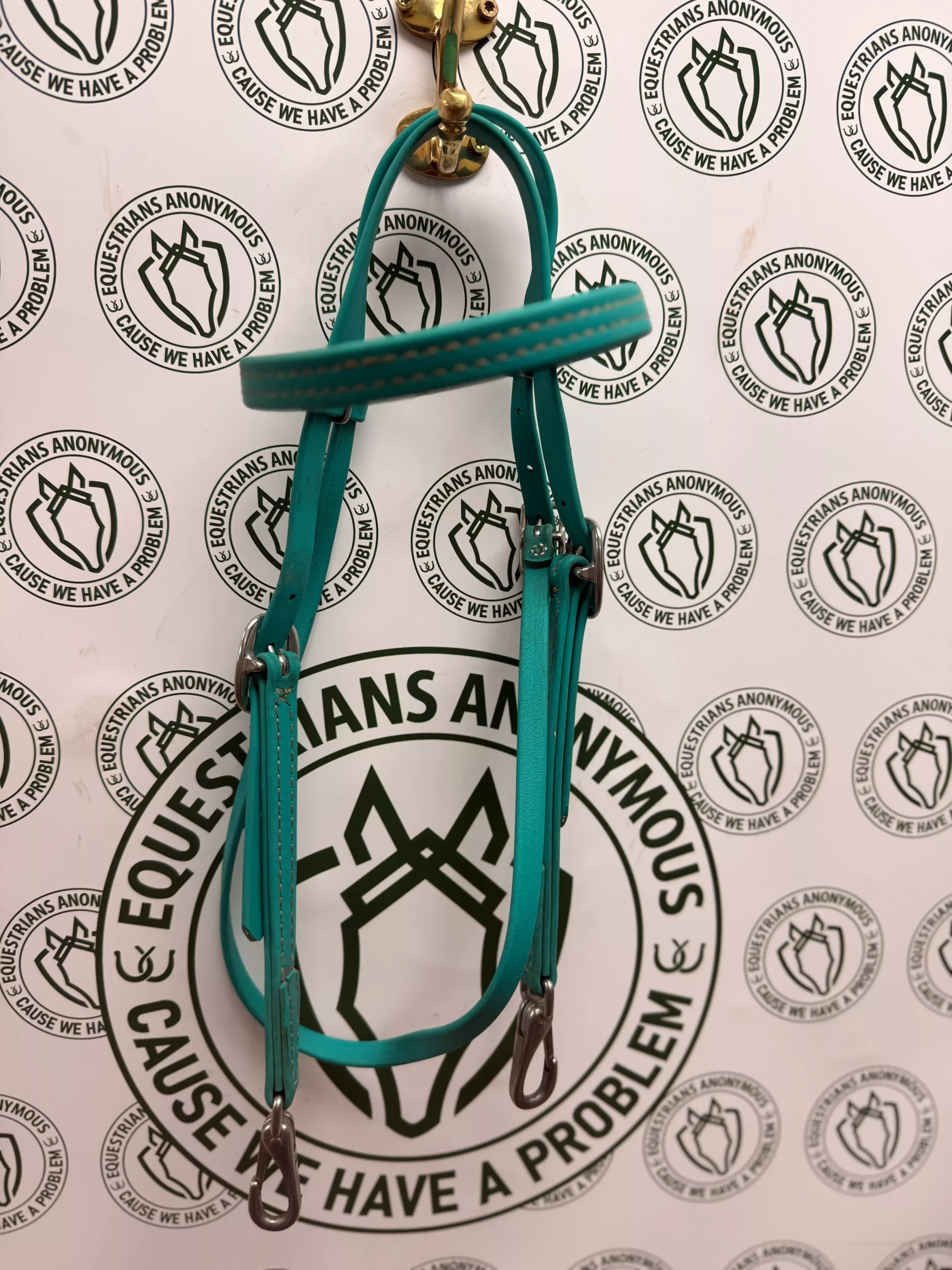 Teal Biothane Bridle with Bit Clips Cob sized