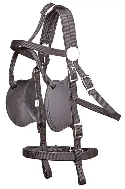 Tedex Bridle