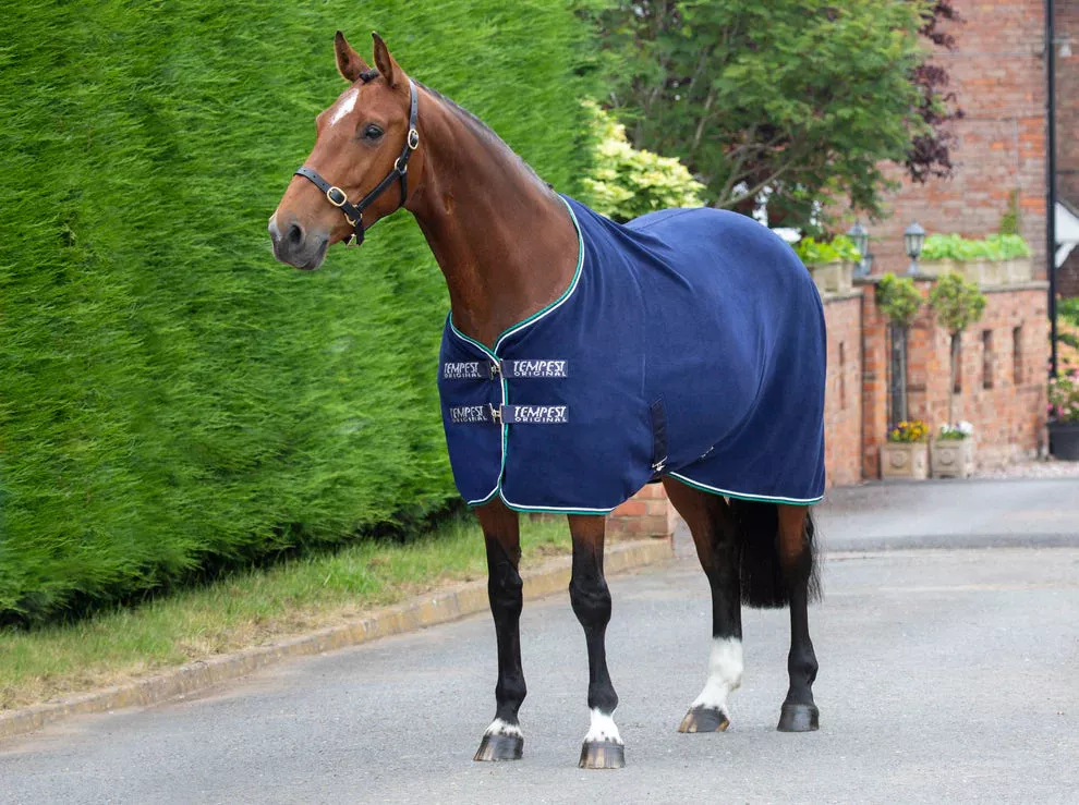 Tempest Fleece Rug