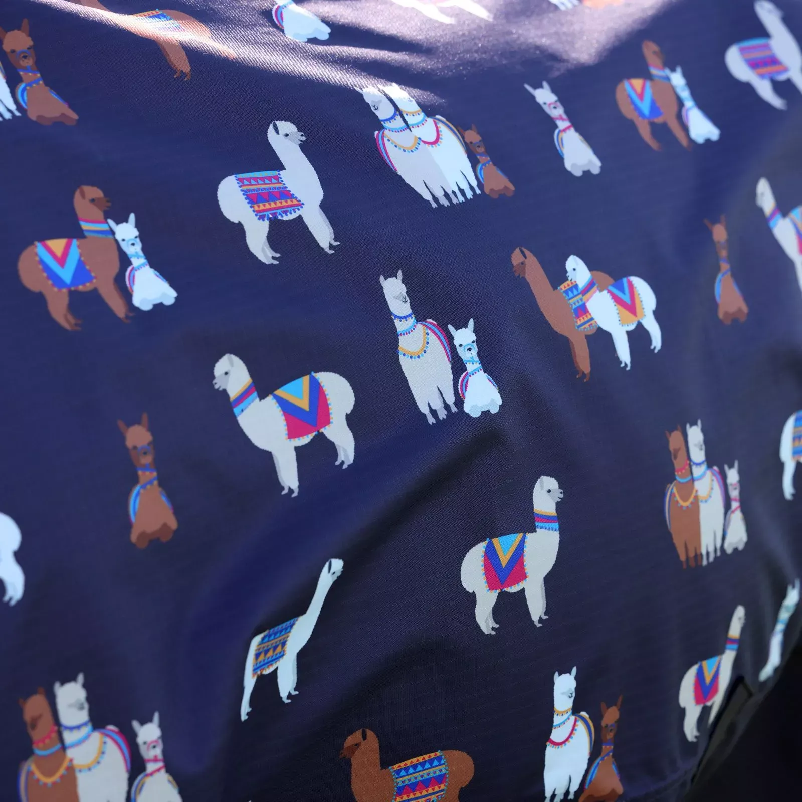 Tempest Lite Turnout Alpaca