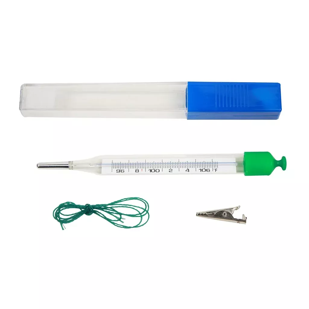Thermometer Mercury Free