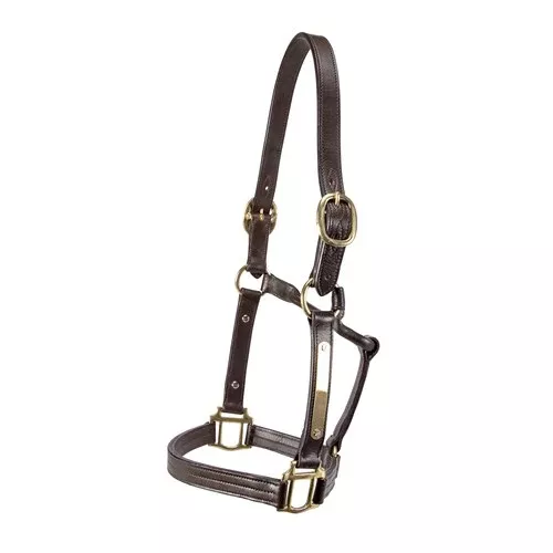 THOROUGHBRED NAMEPLATE HALTER C BRN