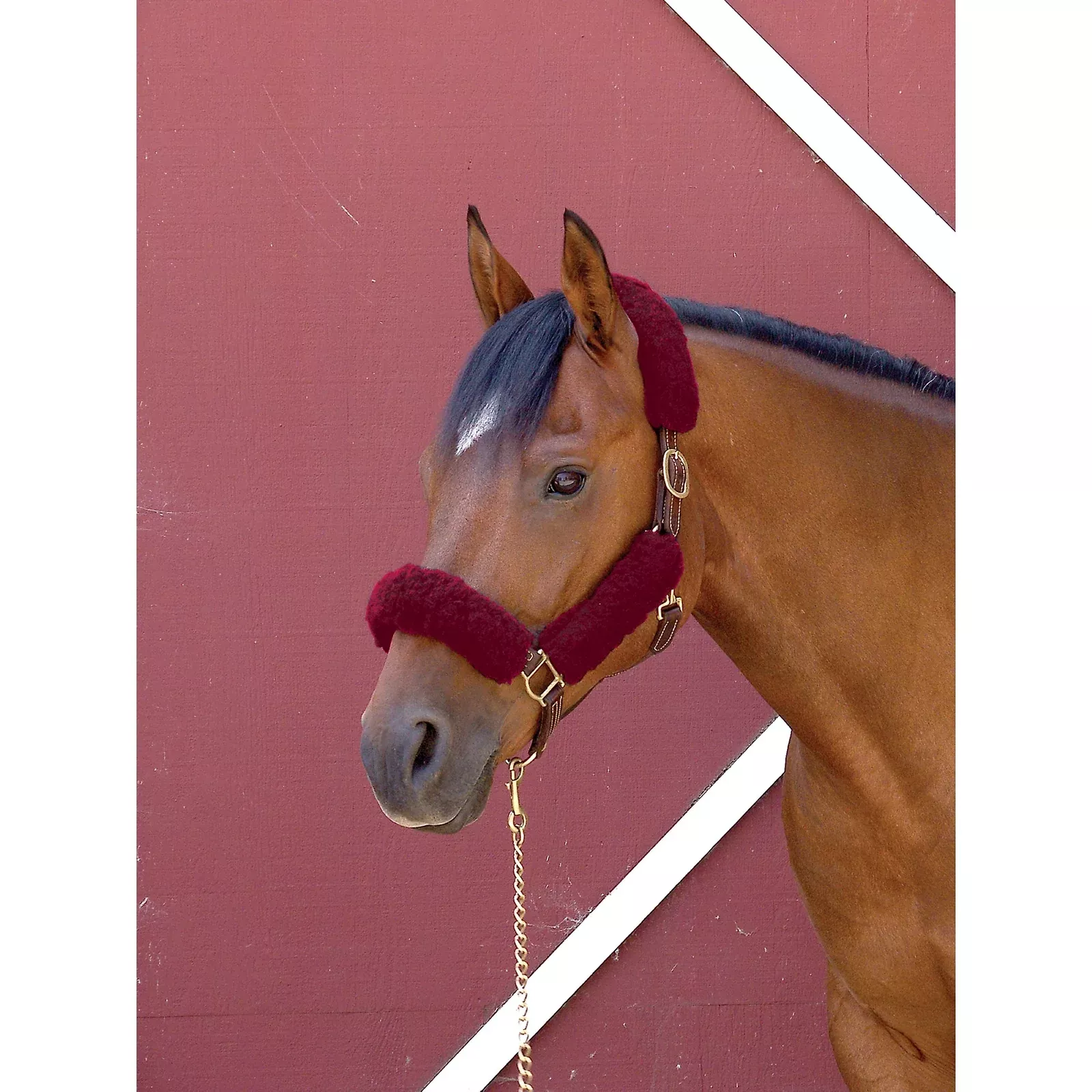 Toklat CoolBack NoseBand Piece