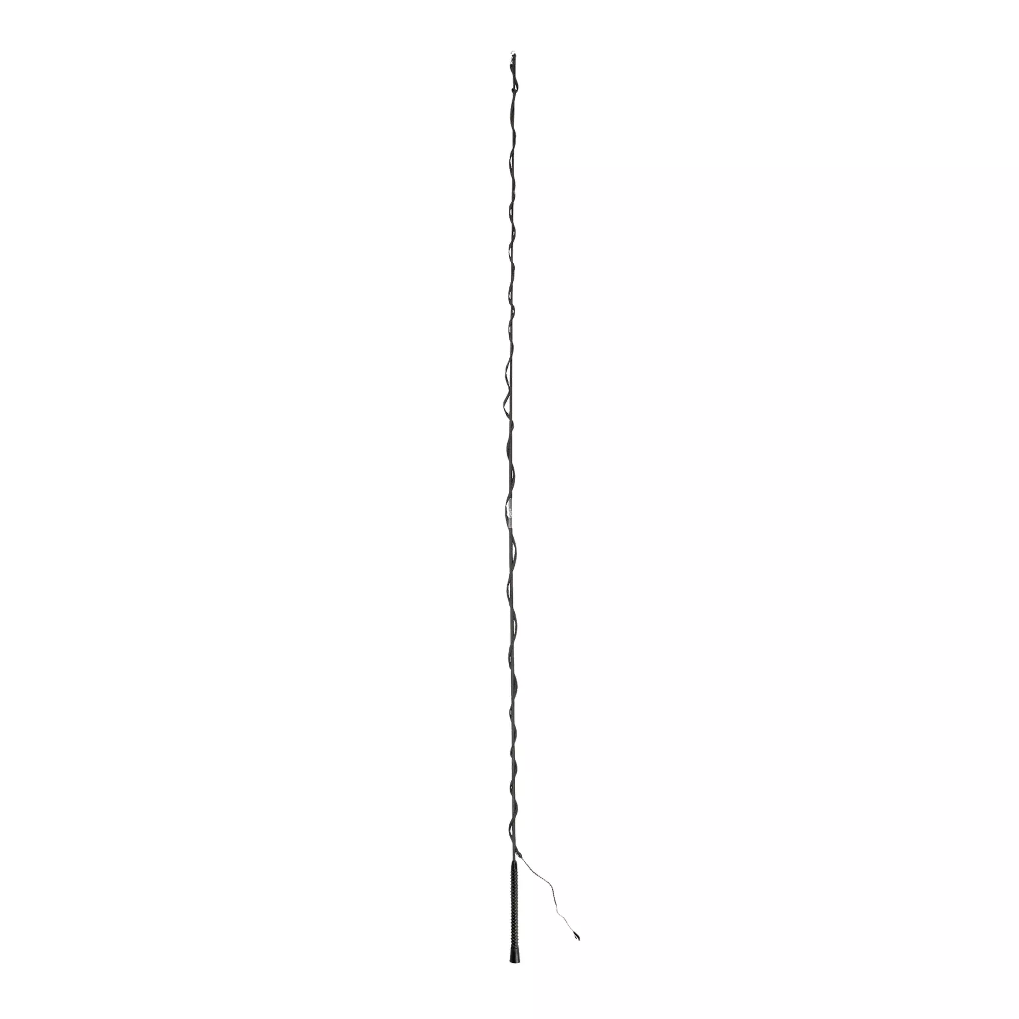 Toptac 2-Part Lunge Whip
