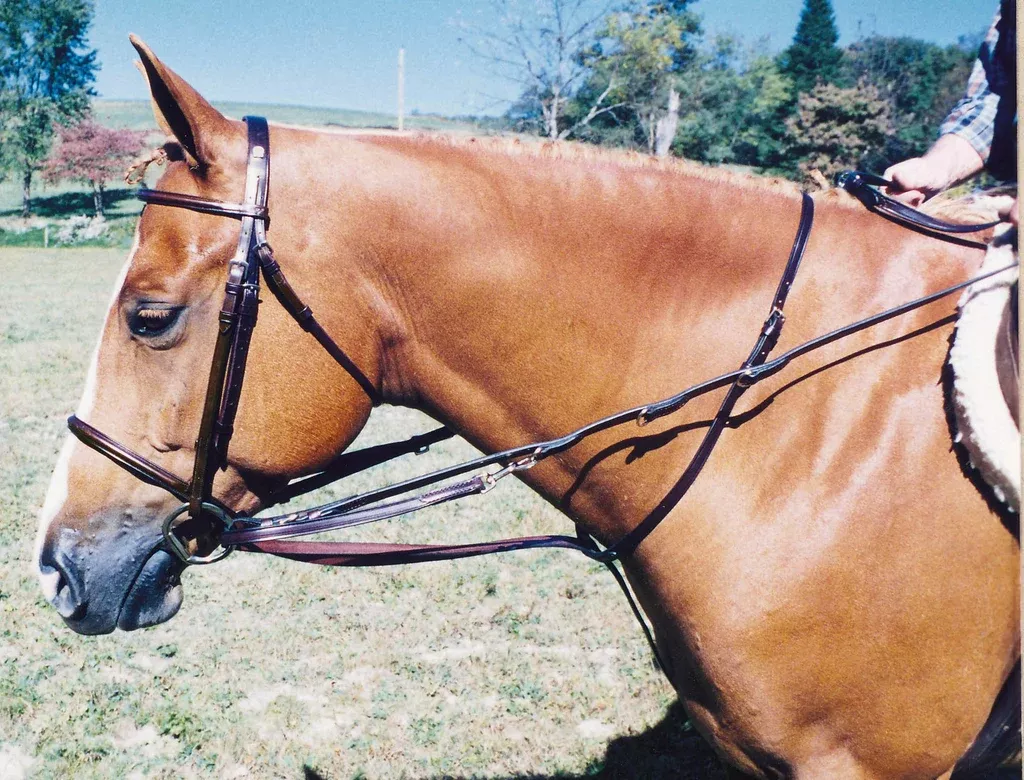 Tory Leather Bridle Leather German Martingale