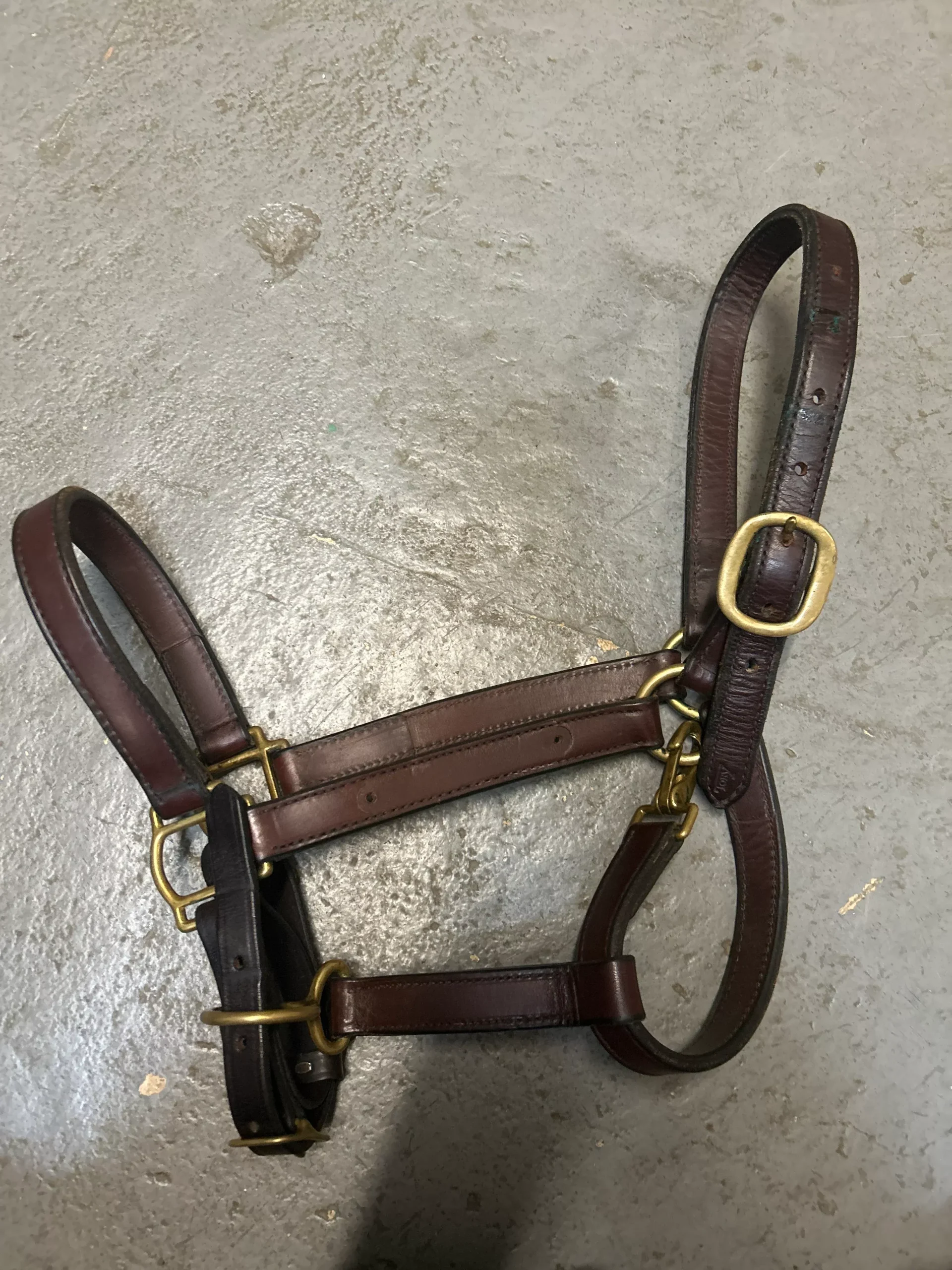 Tory Leather Halter