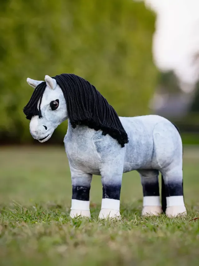 Toy Pony Storm